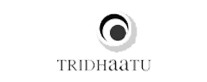 Tridhaatu